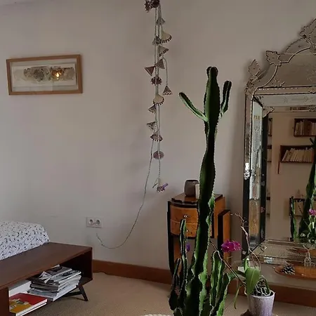 Duplex Intra-muros Calme & Spacieux Pres Du Palais Des Papes Apartment *